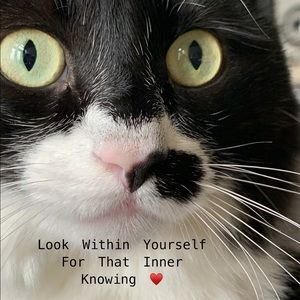 Inspiration 🌻🦋🌻🦋🌻